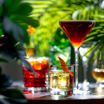 Assorted Tropical Cocktails Served Outdoors Among 2026 07 16 17 13 31 Utc